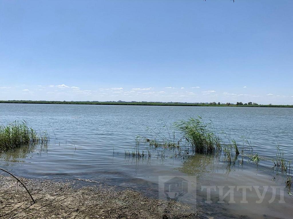 домрайон  Фото 4