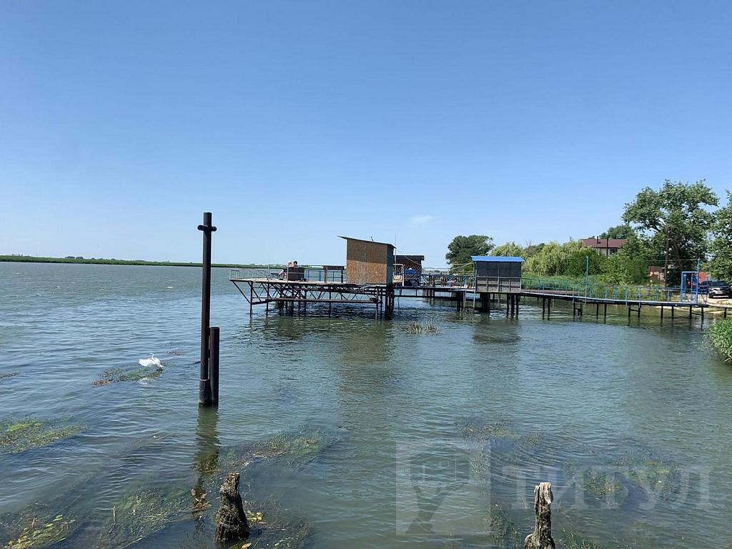 домрайон  Фото 5