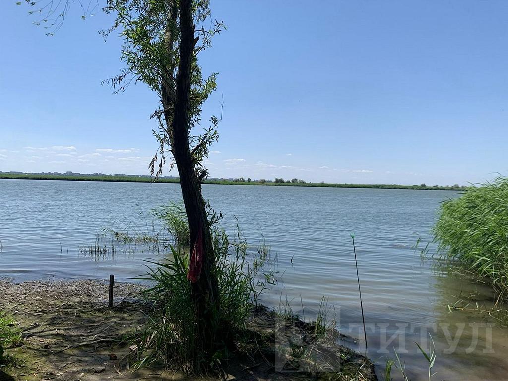 домрайон  Фото 8