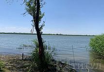 Thumb medium 9d0e7782c2b010a90bff8930fb8f896c