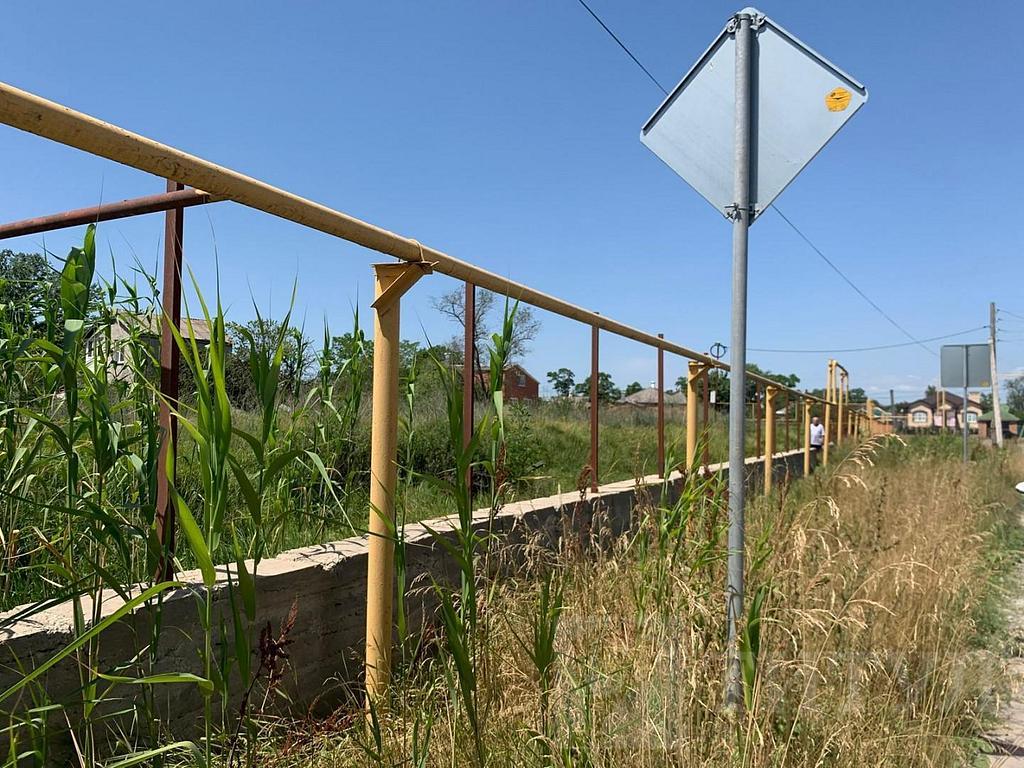 домрайон  Фото 12