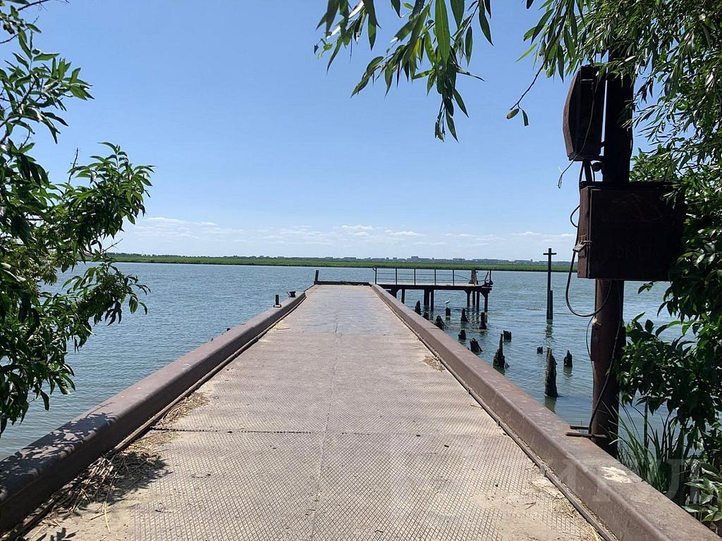 домрайон  Фото 1