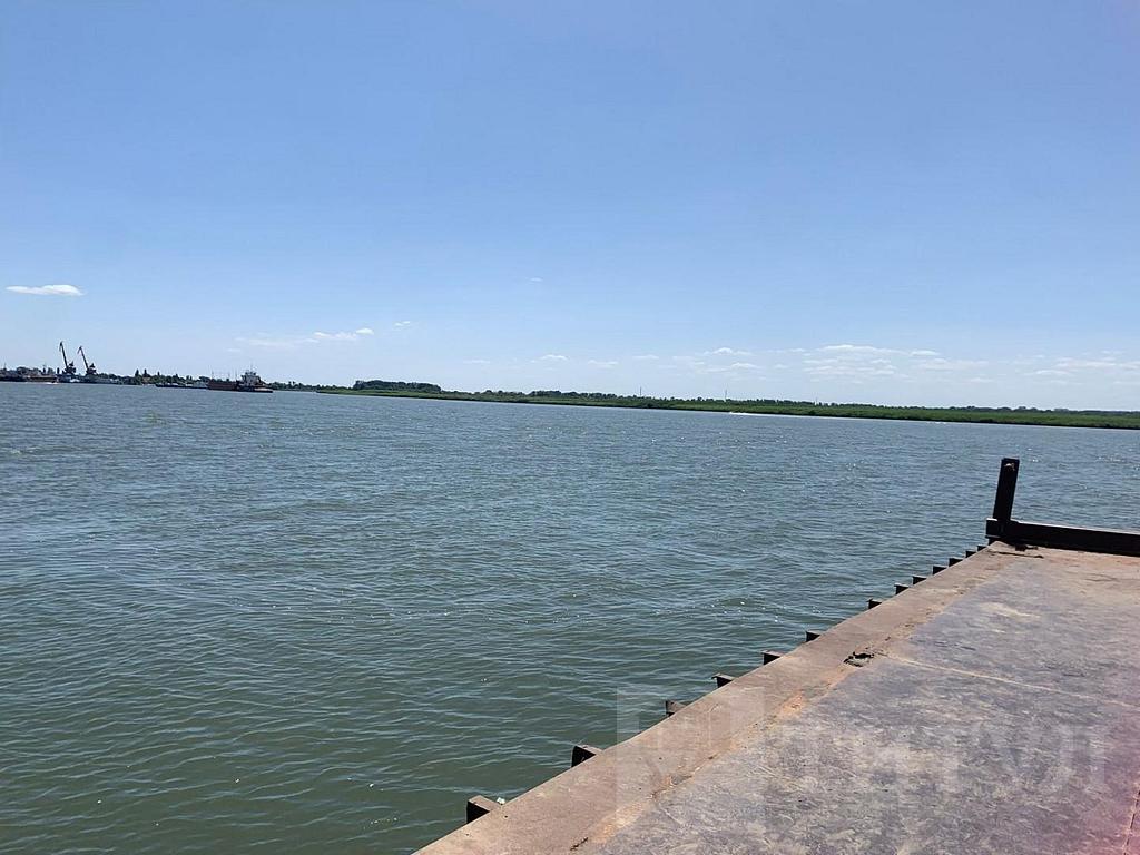 домрайон  Фото 2