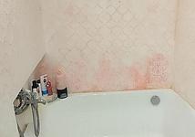 Thumb medium ac741ec7c5f547ac6392c808cde87a50