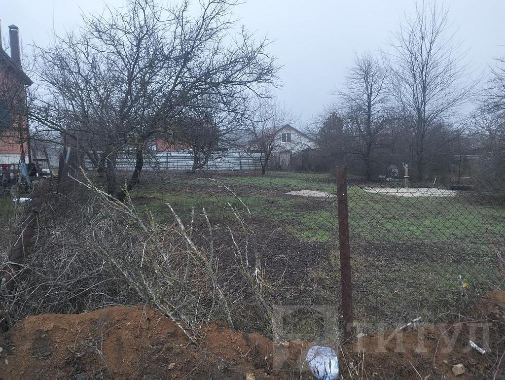 домрайон Фото 15