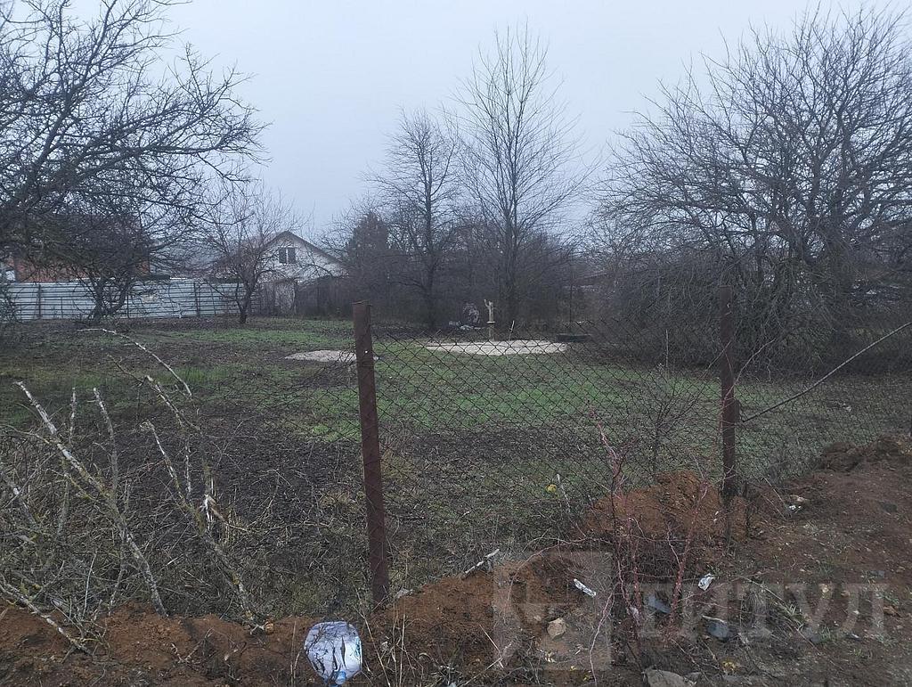 домрайон Фото 13