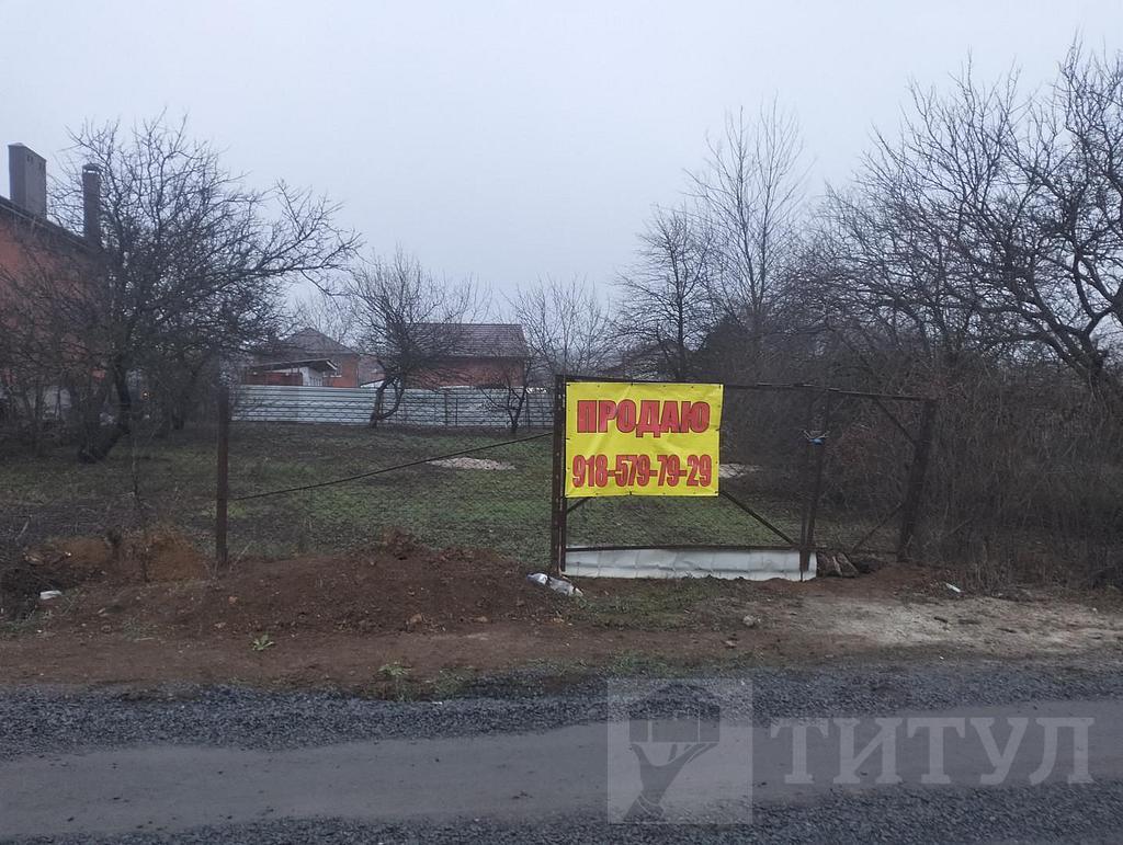 домрайон Фото 10