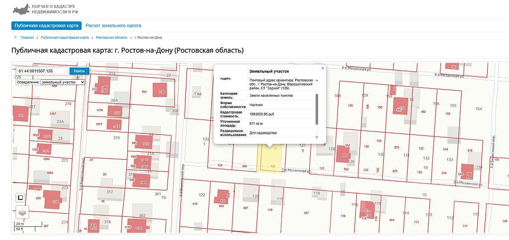 домрайон Фото 8