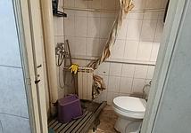 Thumb medium 55cc588e33404b1007e26a8343358966