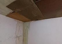 Thumb medium 522dacba4f57cba794c93dbbda50ed98