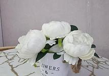 Thumb medium 048f5b1c962c8c8eafe2b75d42905595