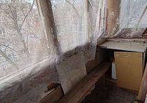 Thumb medium 23490c9d620a9bd92f7d9508e21e1bc0