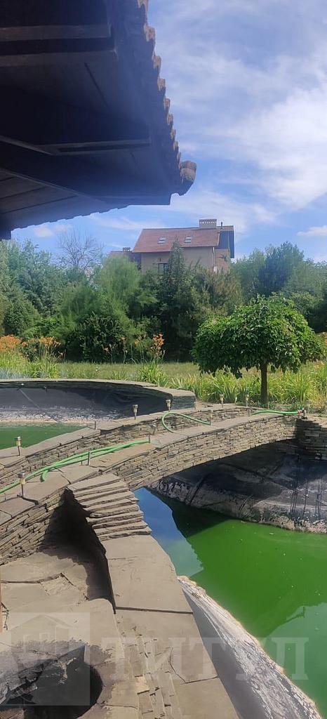 домрайон Фото 43