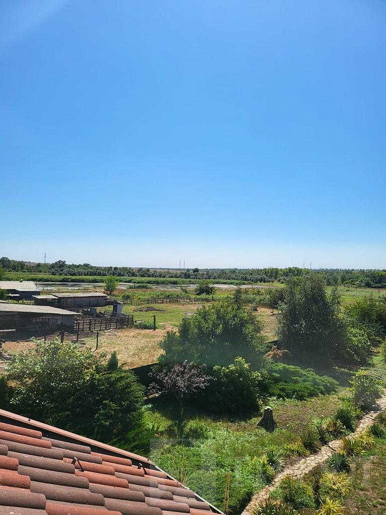 домрайон Фото 42