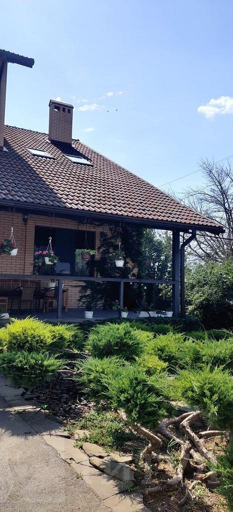 домрайон Фото 40