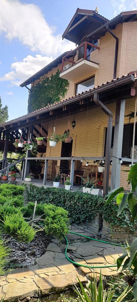 домрайон Фото 39