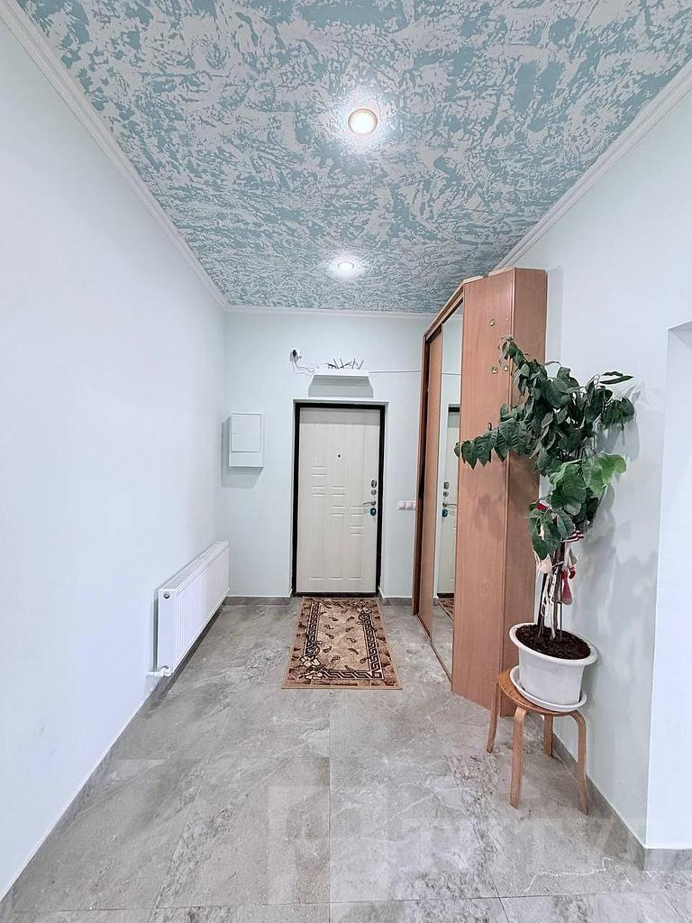 домрайон  Фото 14