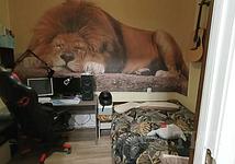 Thumb medium 639d9da416ea21790fcbb6ac35a1efe8