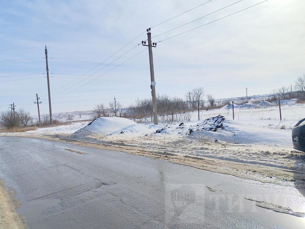 домрайон Фото 2