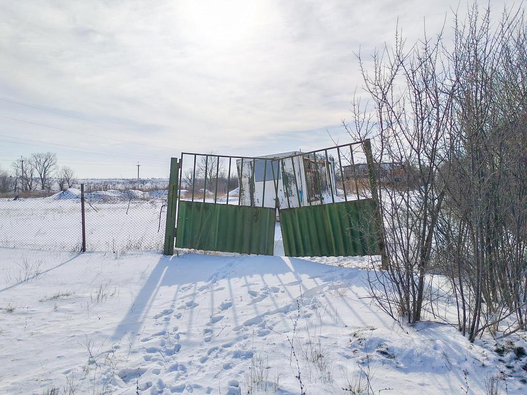 домрайон Фото 3