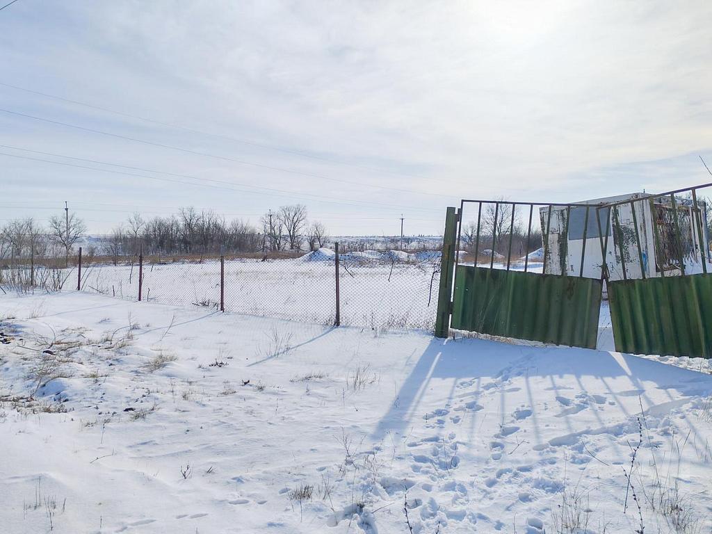 домрайон Фото 4