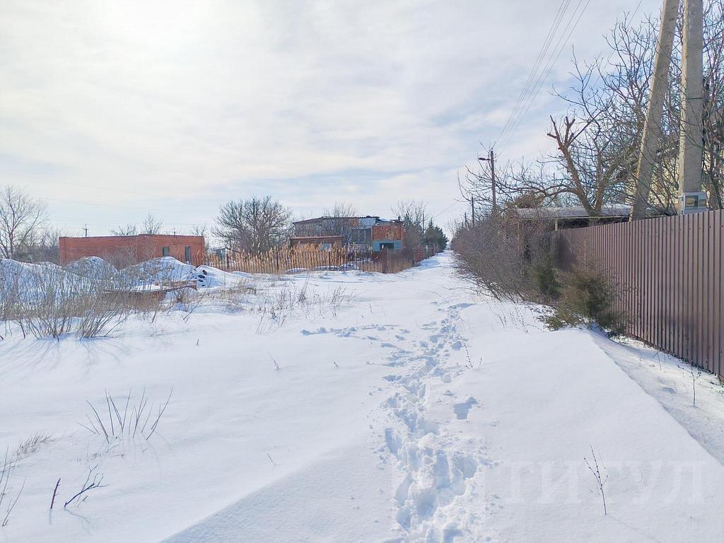 домрайон Фото 12