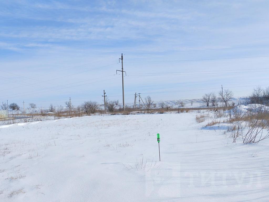 домрайон Фото 6