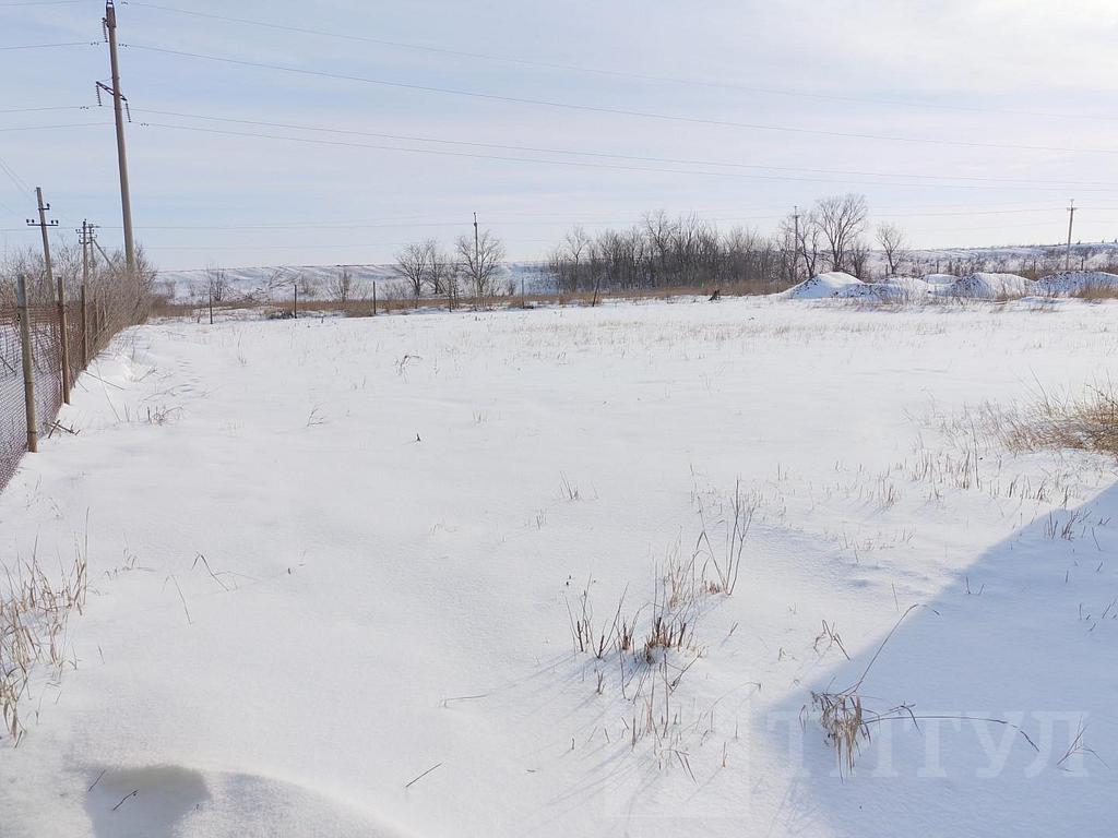 домрайон Фото 5