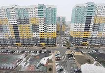 Thumb medium d8c5da0d1ac2d37a130181ca08644096