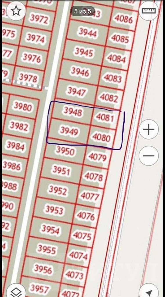 домрайон Фото 3