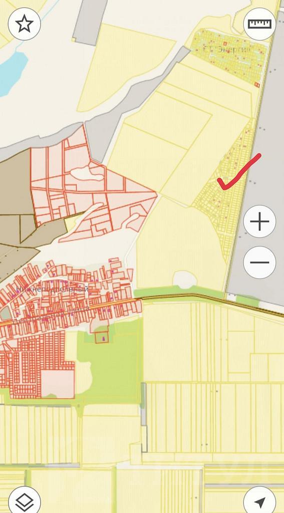 домрайон Фото 2