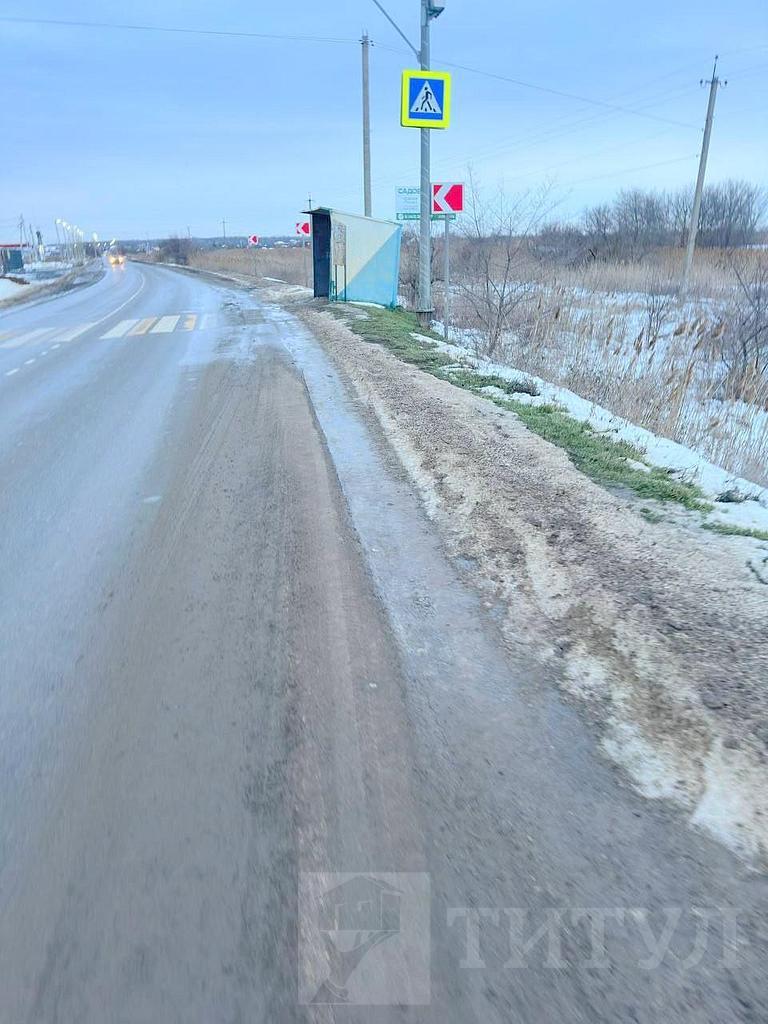 домрайон  Фото 5