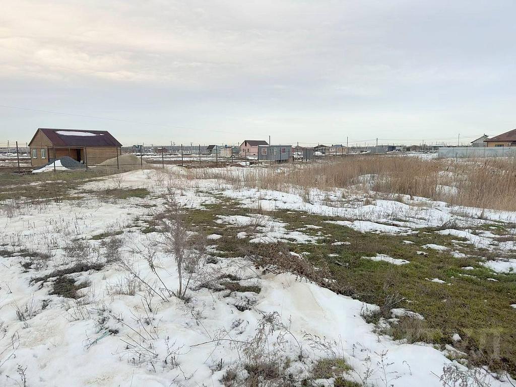 домрайон  Фото 3