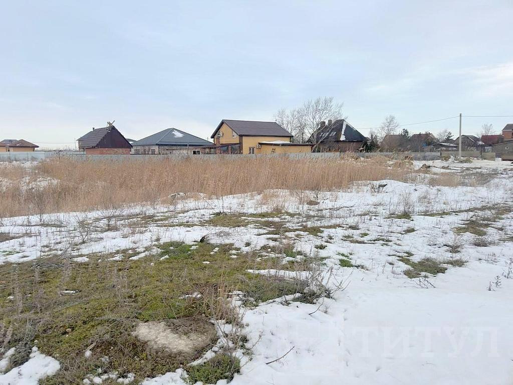 домрайон  Фото 2