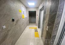 Thumb medium fab0ad8dd4365d04b71bc04b405a2e9e