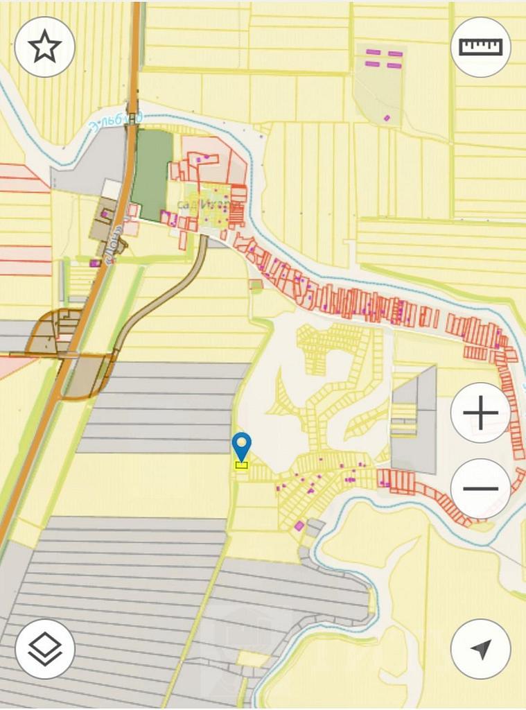 домрайон  Фото 3