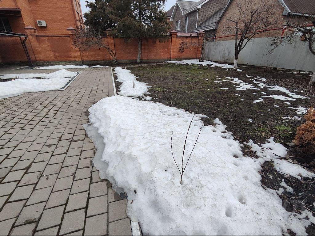 домрайон  Фото 3