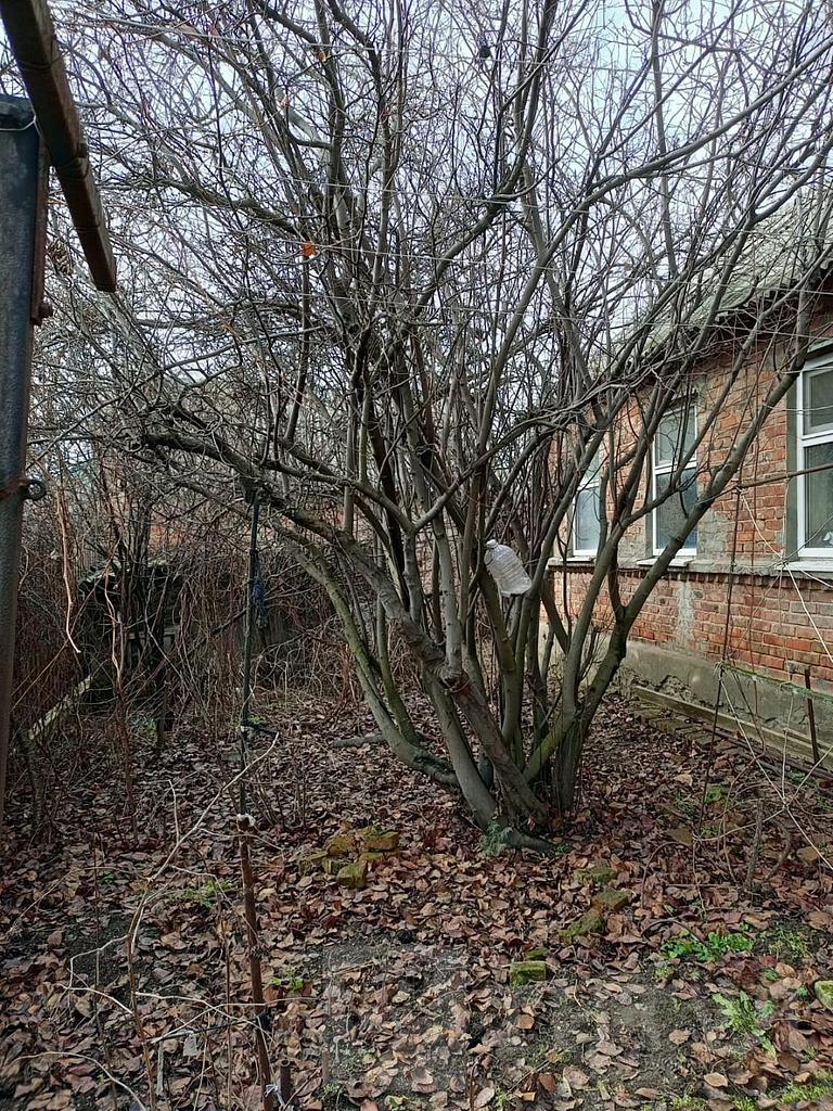 двухкомнатный домрайон  Фото 4