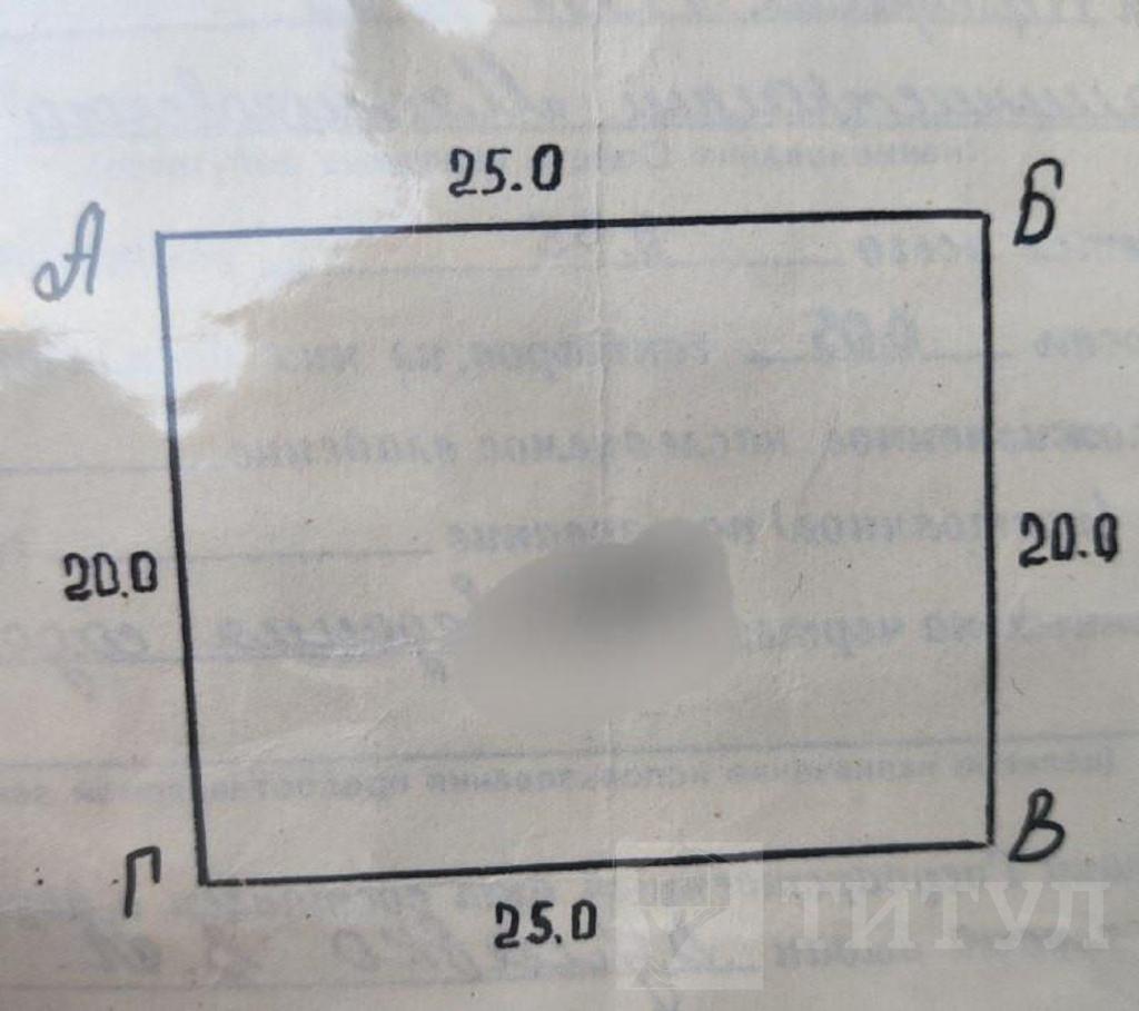 домрайон Фото 1