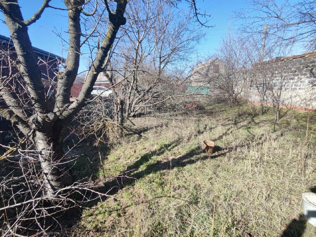 домрайон Фото 7