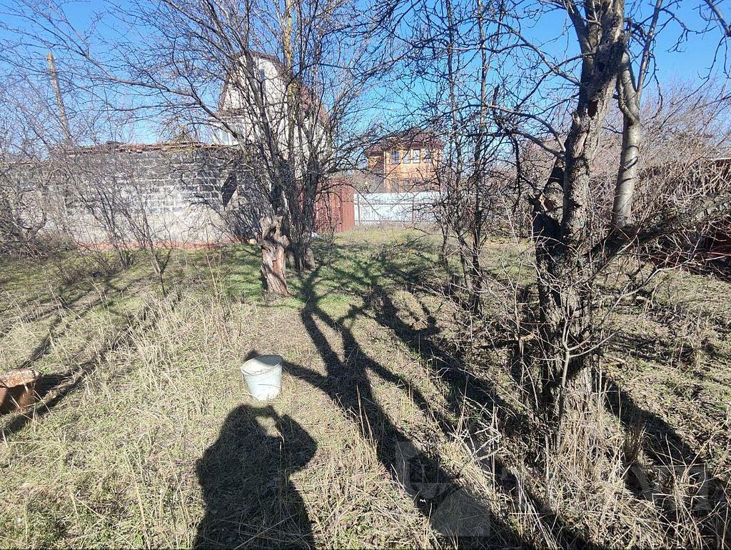 домрайон Фото 6