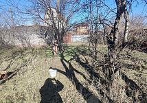 Thumb medium f22a4102d9e95ad3c7fce82ee9b9de8b