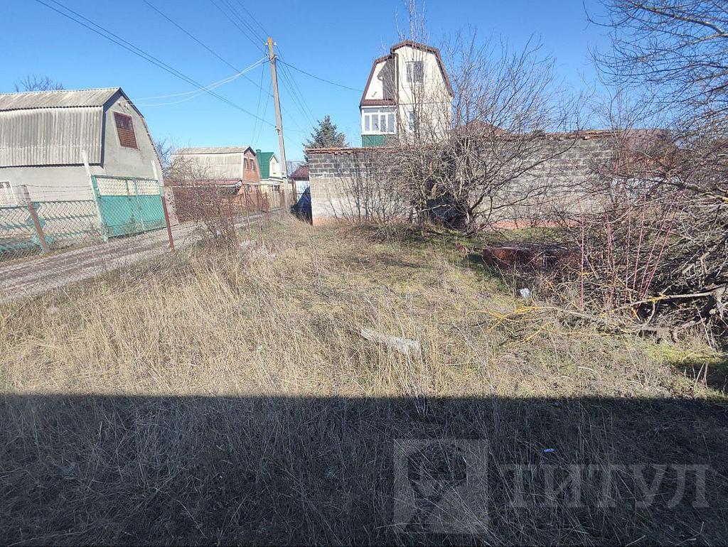 домрайон Фото 4