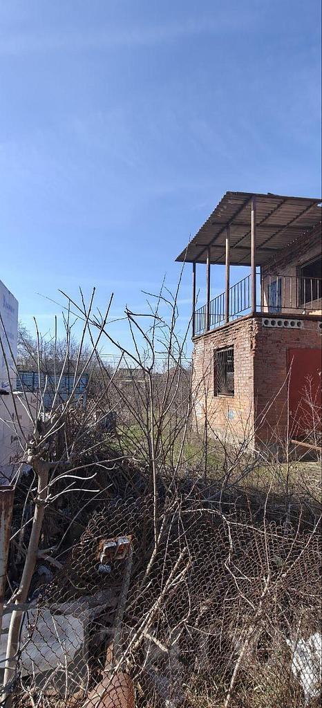 домрайон  Фото 3