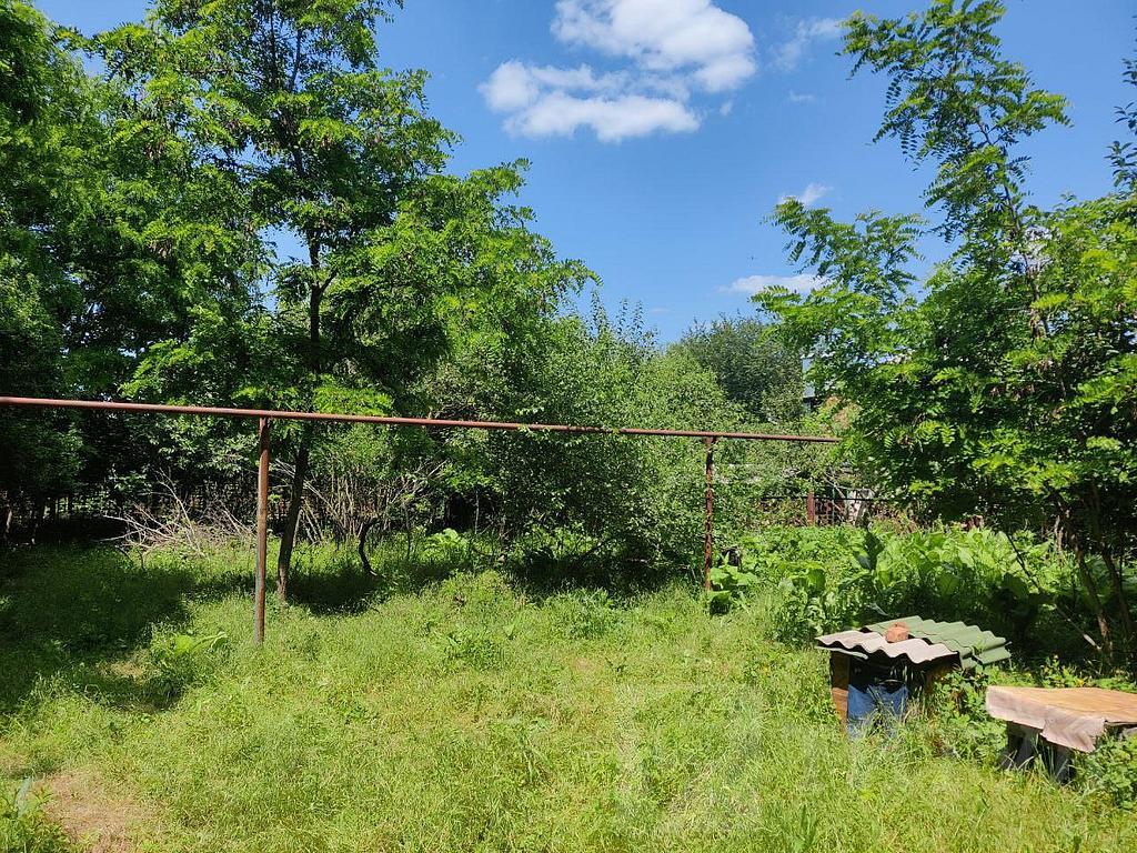 домрайон  Фото 1