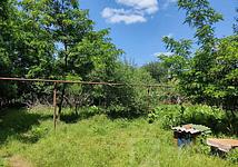 Thumb medium 7af5348fa02704ccaeeb6cb718792e96