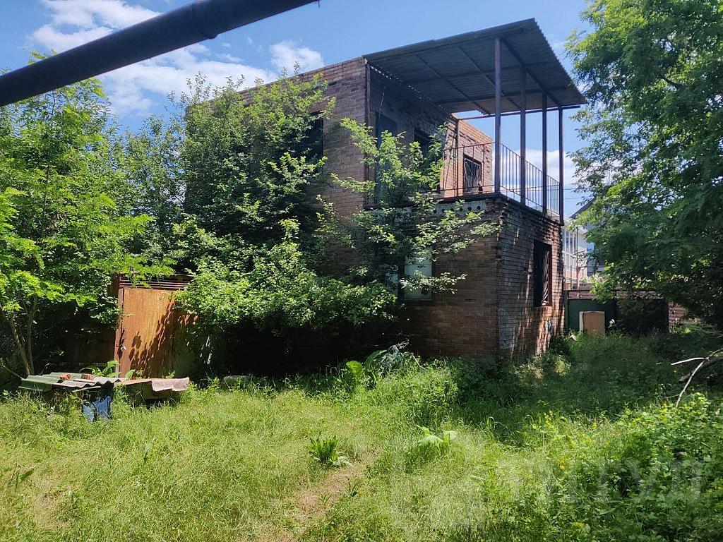 домрайон  Фото 2