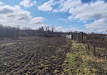 Thumb medium 13dbf947f670b6e44fd957348860c706