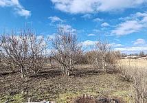 Thumb medium ebfd4c85c4c321db323277b737834d66