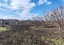 Thumb medium 416cff2eec95c71cdc1ae72326318f3a